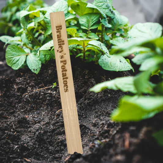 Garden Plant Marker