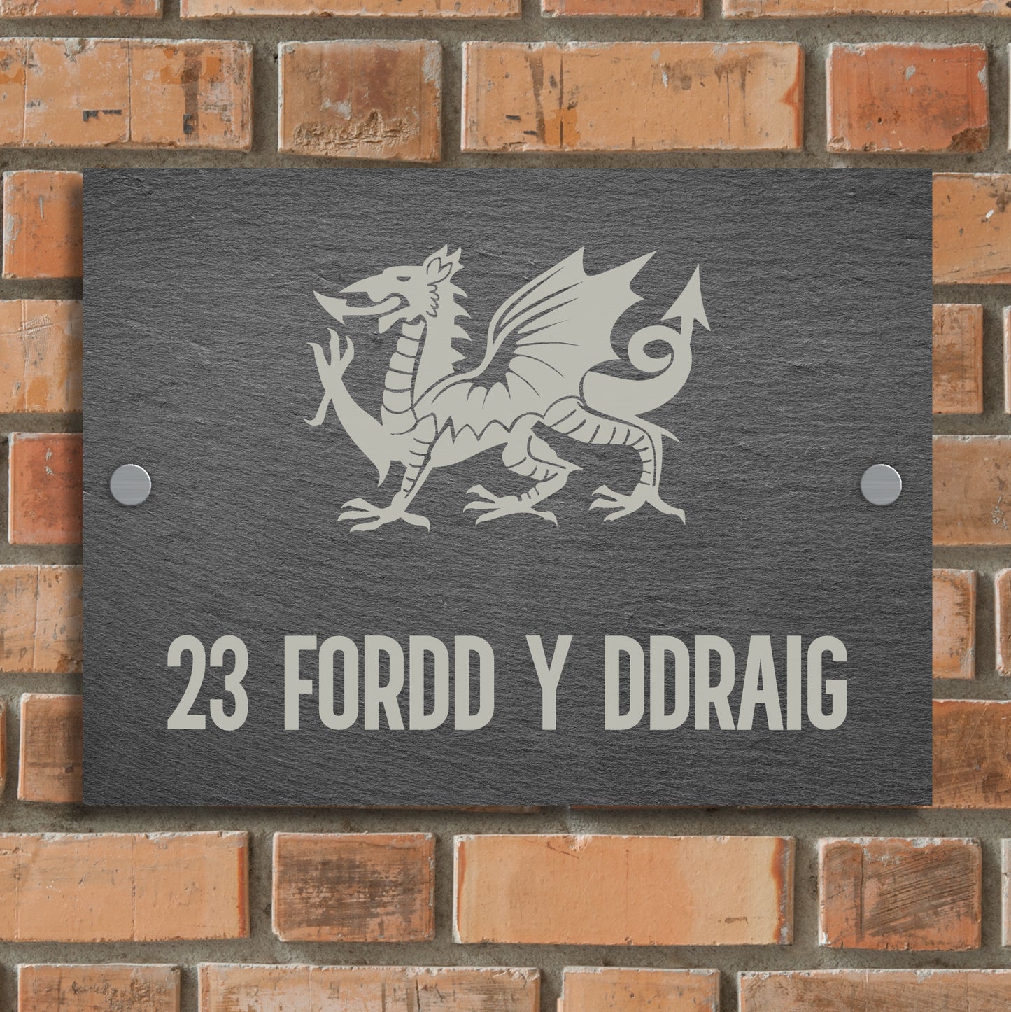 Welsh Dragon Rectangle House Sign